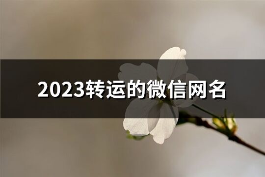 2023转运的微信网名(2400个)