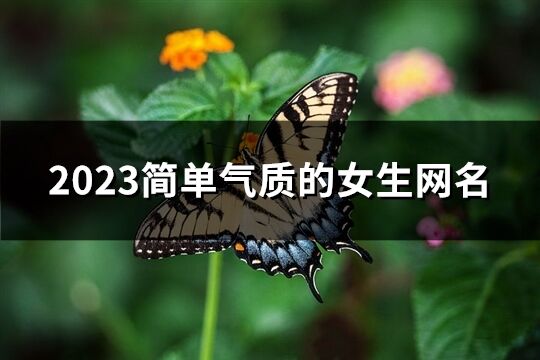 2023简单气质的女生网名(优选522个)