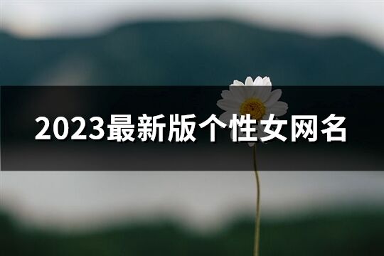 2023最新版个性女网名(共1031个)