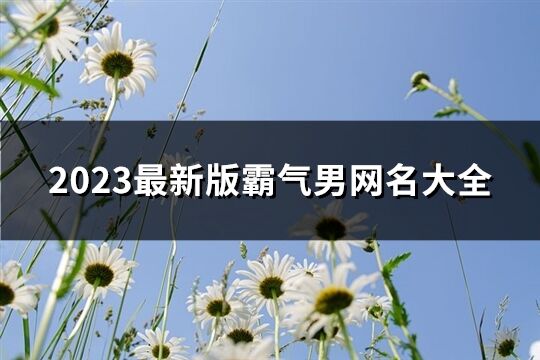 2023最新版霸气男网名大全(优选1611个)