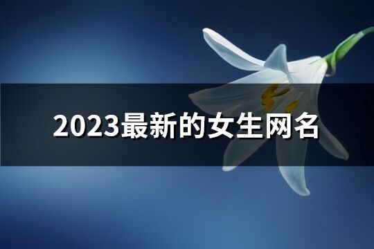 2023最新的女生网名(925个)