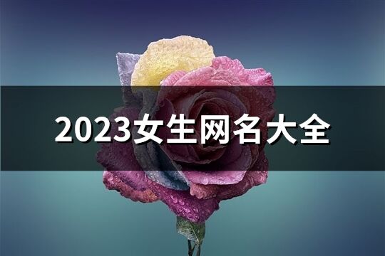 2023女生网名大全(共2155个)