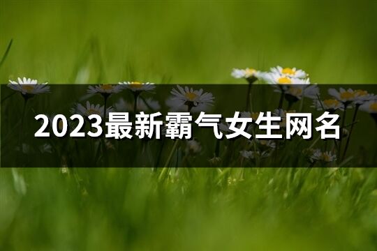 2023最新霸气女生网名(精选1197个)