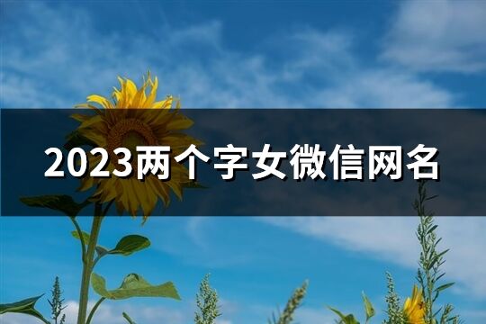 2023两个字女微信网名(精选562个)