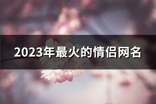 2023年最火的情侣网名(精选284个)