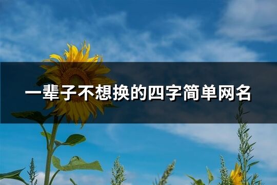 一辈子不想换的四字简单网名(优选370个)