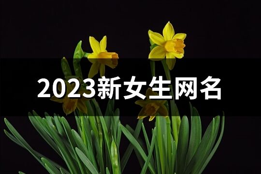 2023新女生网名(优选890个)