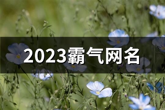 2023霸气网名(733个)