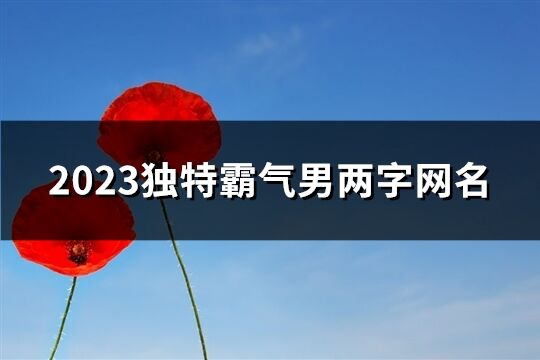 2023独特霸气男两字网名(882个)