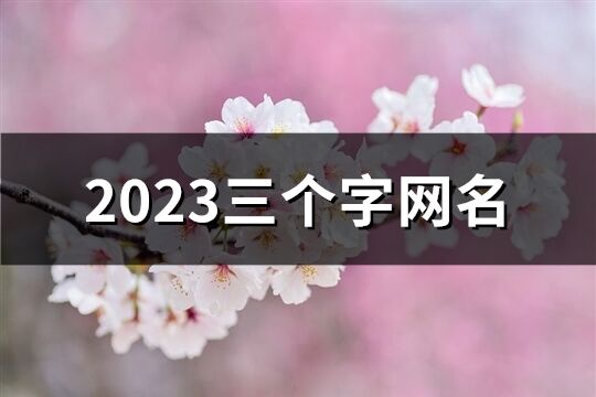 2023三个字网名(优选1456个)