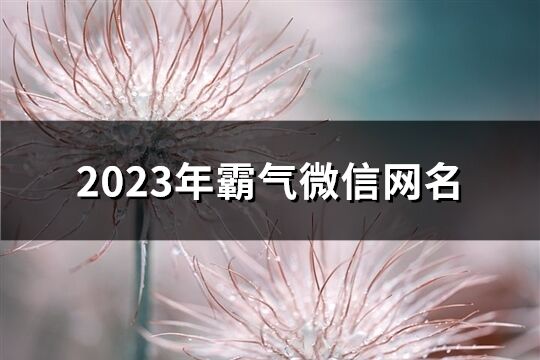 2023年霸气微信网名(共1047个)