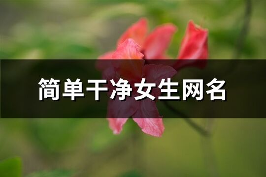 简单干净女生网名(共1169个)