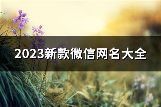 2023新款微信网名大全(优选684个)