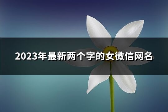 2023年最新两个字的女微信网名(689个)