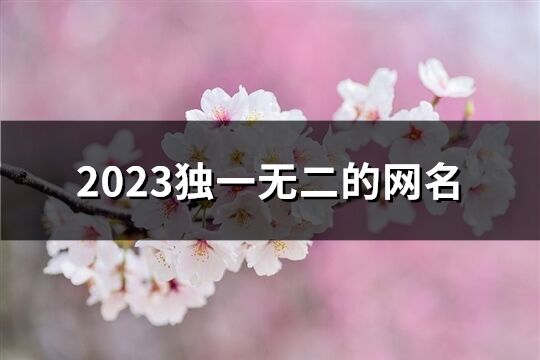 2023独一无二的网名(486个)