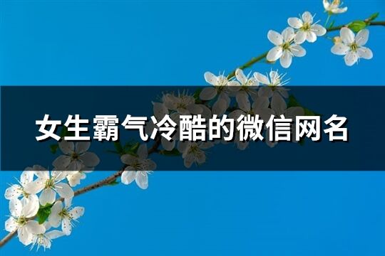 女生霸气冷酷的微信网名(优选219个)