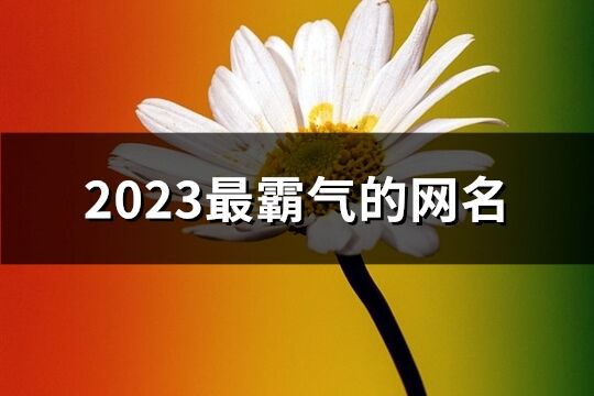 2023最霸气的网名(精选726个)