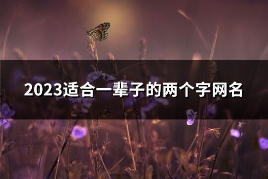 2023适合一辈子的两个字网名(优选905个)