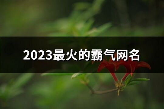 2023最火的霸气网名(1159个)