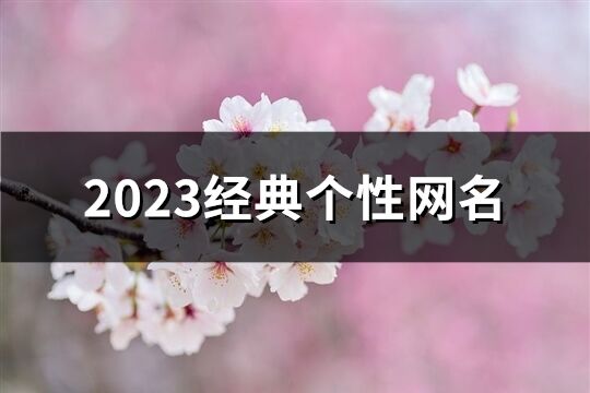 2023经典个性网名(精选1304个)