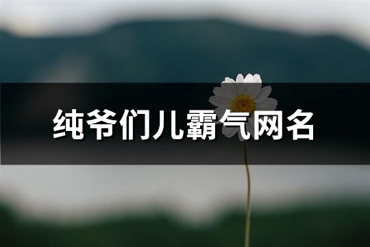 纯爷们儿霸气网名(优选134个)