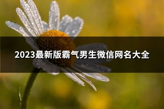 2023最新版霸气男生微信网名大全(940个)