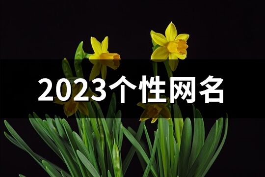 2023个性网名(1339个)