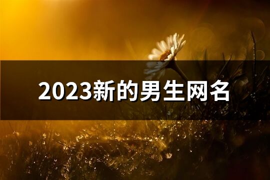 2023新的男生网名(精选709个)