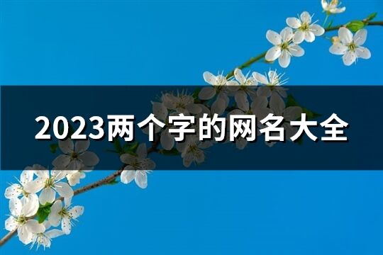 2023两个字的网名大全(1499个)