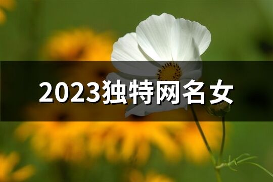 2023独特网名女(共1371个)