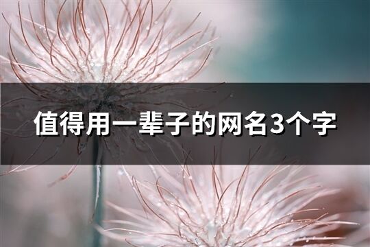 值得用一辈子的网名3个字(优选961个)