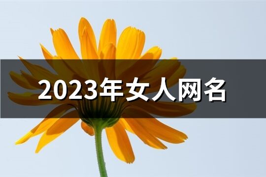 2023年女人网名(优选913个)