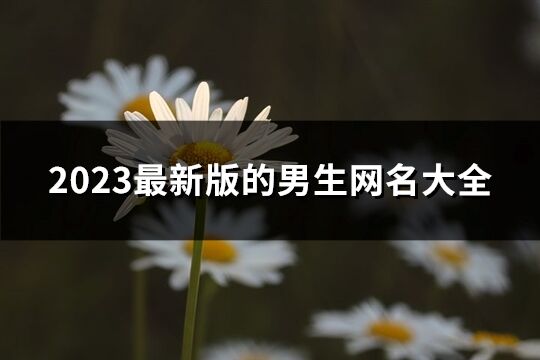 2023最新版的男生网名大全(精选853个)