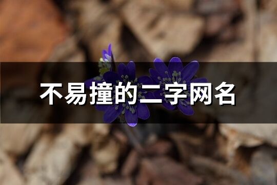 不易撞的二字网名(精选719个)