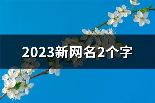 2023新网名2个字(1511个)