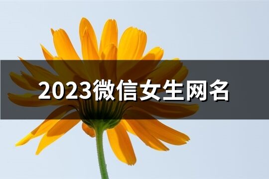 2023微信女生网名(1339个)