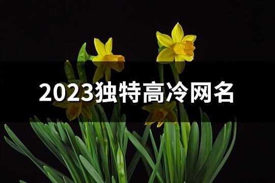 2023独特高冷网名(共640个)