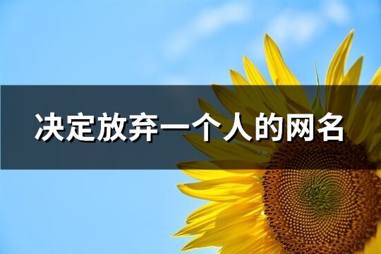 决定放弃一个人的网名(精选223个)