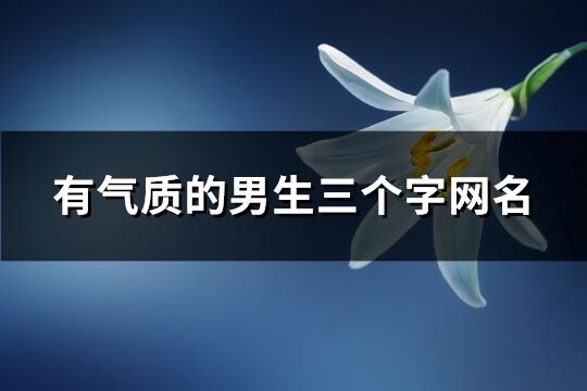 有气质的男生三个字网名(共597个)