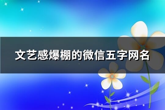 文艺感爆棚的微信五字网名(优选106个)