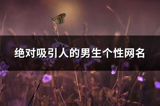 绝对吸引人的男生个性网名(精选271个)