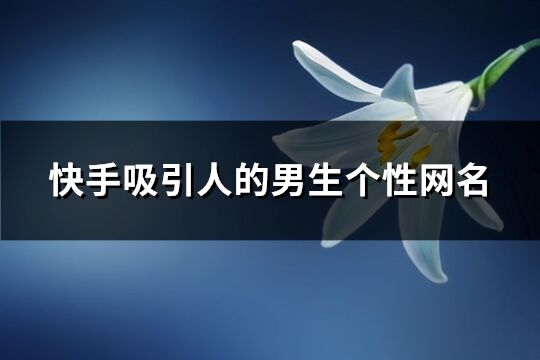 快手吸引人的男生个性网名(共382个)