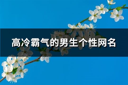 高冷霸气的男生个性网名(精选569个)