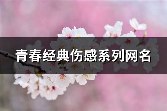 青春经典伤感系列网名(共211个)