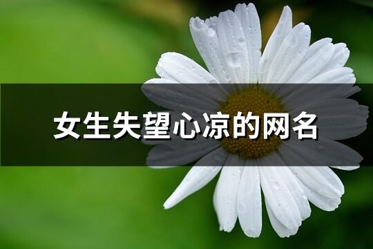 女生失望心凉的网名(共134个)