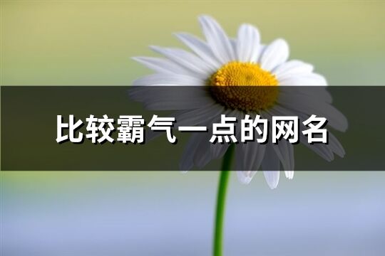 比较霸气一点的网名(732个)