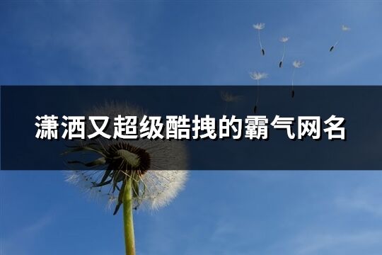 潇洒又超级酷拽的霸气网名(275个)