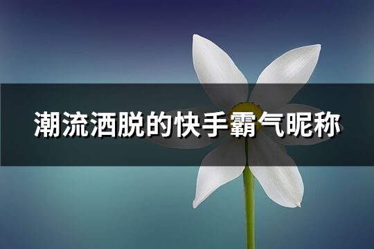 潮流洒脱的快手霸气昵称(共166个)