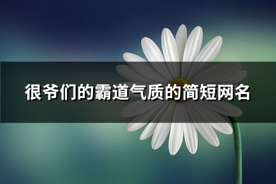 很爷们的霸道气质的简短网名(133个)