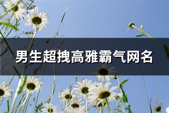 男生超拽高雅霸气网名(322个)